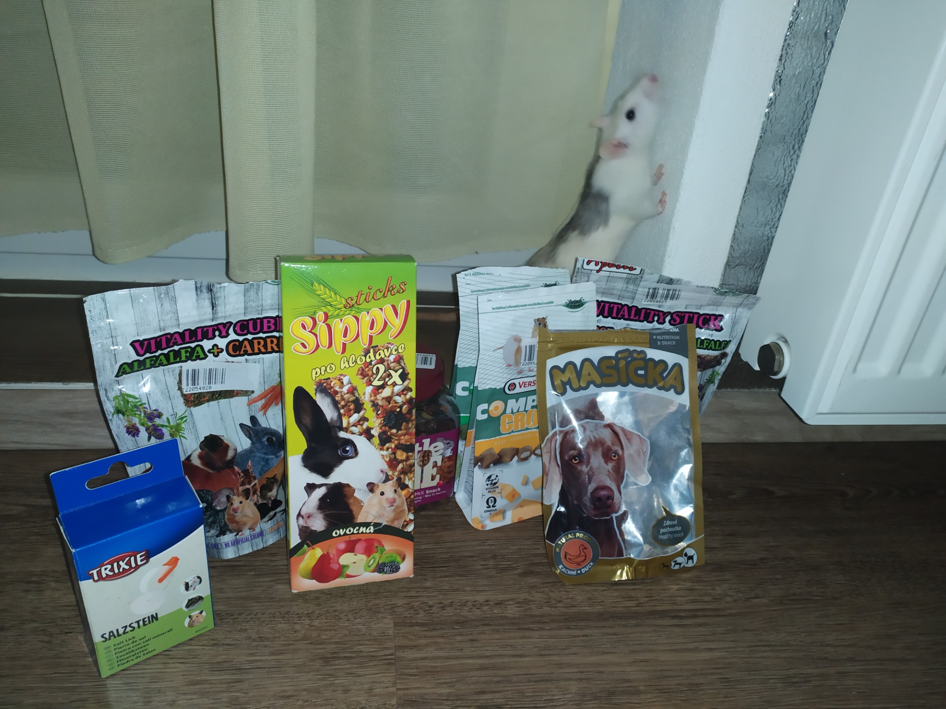 potkanům dávám například to to i víc